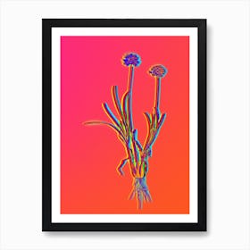 Neon Allium Carolinianum Botanical in Hot Pink and Electric Blue n.0445 Art Print