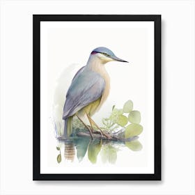 Javan Pond Heron Gouache 1 Art Print
