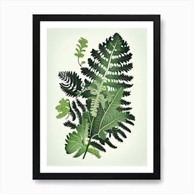 Grape Fern Wildflower Vintage Botanical 2 Art Print