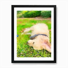 Dog Laying In The Grass 1 Art Print