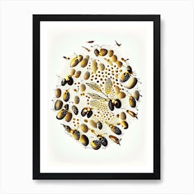 Swarm Of Bees 1 Vintage Art Print