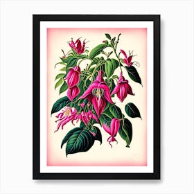 Fuchsia 2 Floral Botanical Vintage Poster Flower Art Print