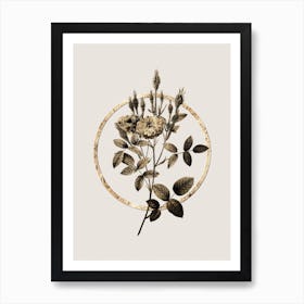 Gold Ring Mossy Pompon Rose Glitter Botanical Illustration n.0048 Art Print