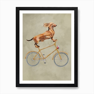 Dachshund On Bicycle Art Print