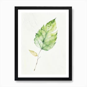 Elm Leaf Minimalist Watercolour 2 Art Print