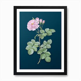 Vintage Damask Rose Botanical Art on Teal Blue Art Print
