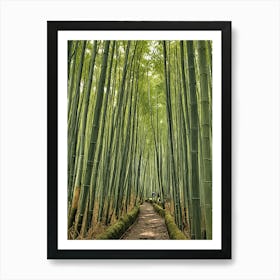 Bamboo Forest Art Print