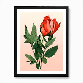 Red Tulip 1 Art Print