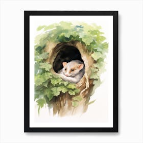 Light Watercolor Painting Of A Sleeping Possum 1 Art Print