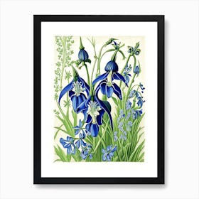 Bluebell 3 Floral Botanical Vintage Poster Flower Art Print