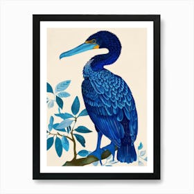 Blue Cormorant 1 Art Print