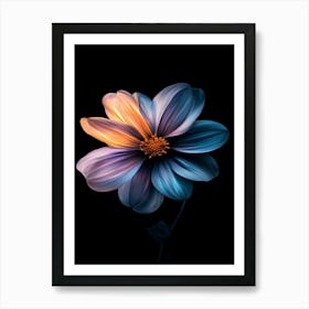 Dahlia Flower 2 Poster