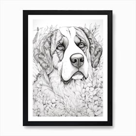 Saint Bernard Dog, Line Drawing 2 Art Print