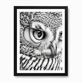 Close up of Black And White Owl Art Print