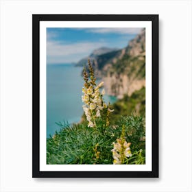 Amalfi Coast Blooms Art Print