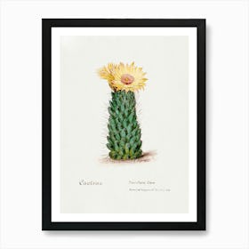 Beehive Cactus, Familie Der Cacteen Art Print