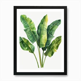 Banana Leaves 32 Art Print