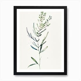 Alfalfa Herb Minimalist Watercolour Art Print