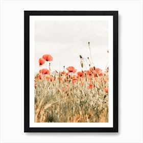 Poppy Flower Field Art Print