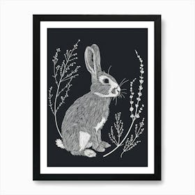 Netherland Dwarf Rabbit Minimalist Illustration 3 Art Print