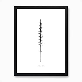 Lonely Pine Fineline Illustration Art Print