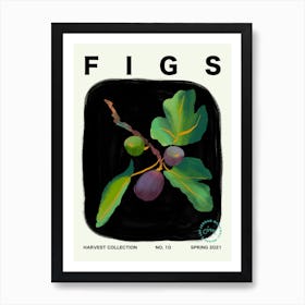 Figs Fruit Kitchen Typography Art Print