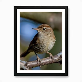 House Wren -Reimagined 8 Art Print