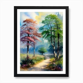 Path Through The Trees Art Print