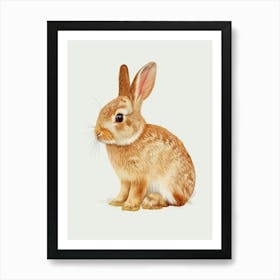 Rhinelander Rabbit Nursery Illustration 4 Art Print