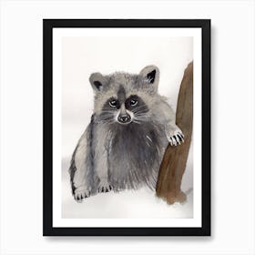 Raccoon Art Print