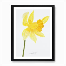 Daffodil 9 Art Print