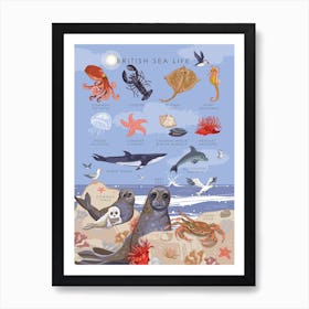 British Sea Life Art Print