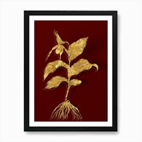 Vintage Yellow Lady's Slipper Orchid Botanical in Gold on Red n.0479 Art Print