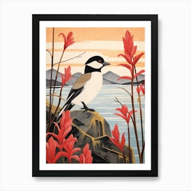 Bird Illustration Bufflehead 2 Art Print