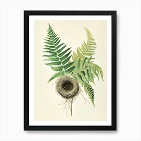 Vintage Illustration Birds Nest Fern 4 Art Print