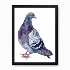 Pigeon 8 Art Print