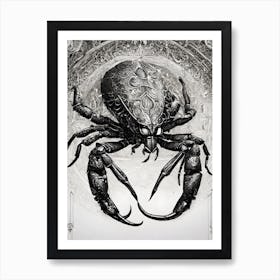 Scorpion Art Print