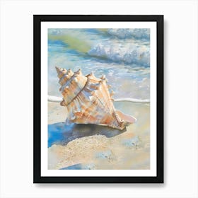 Conch Shell On The Beach Art Print