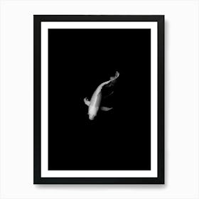 Japanese Koi Carp Black and White Photograph Art Print