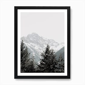 Forest And Peaks Art Print
