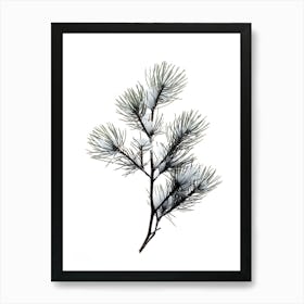 Pine Branch Covered in Snow 1 Art Print