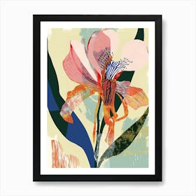 Colourful Flower Illustration Cyclamen 2 Art Print