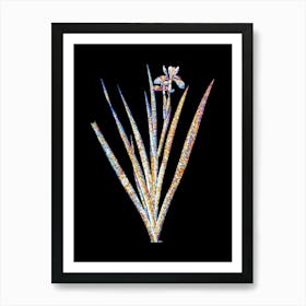 Stained Glass Stinking Iris Mosaic Botanical Illustration on Black n.0322 Art Print