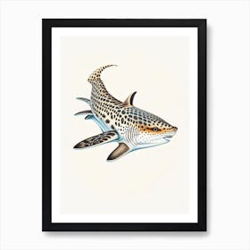 Leopard Shark Vintage Art Print