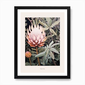 Flower Illustration Protea 1 Poster Art Print