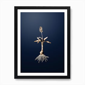 Gold Botanical Scilla Lingulata on Midnight Navy n.4580 Art Print