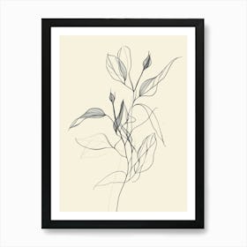 Drawing Of A Flower 1 Art Print