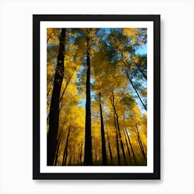 Autumn Trees In The Forest 6 Art Print