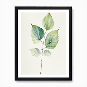 Viburnum Leaf Minimalist Watercolour 2 Art Print