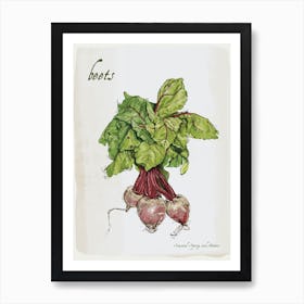 Beetroot Vintage illustration Print Art Print